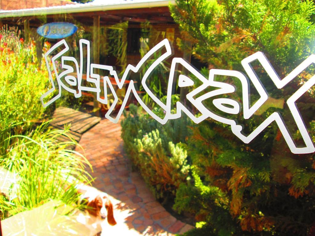 בלוברגסטראנד Saltycrax Backpackers And Surf Hostel By Curiocity מראה חיצוני תמונה
