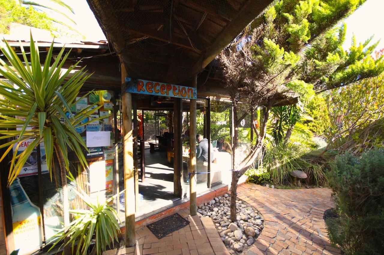 בלוברגסטראנד Saltycrax Backpackers And Surf Hostel By Curiocity מראה חיצוני תמונה